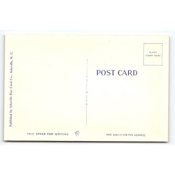 Vintage Linen Trout Fishing Postcard Southern Mountains Asheville NC - Picture 2 of 2